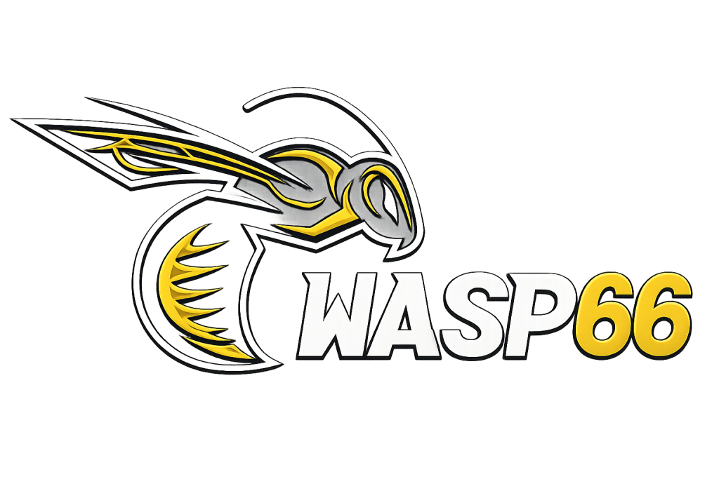 wasp 66